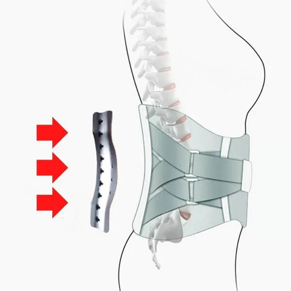 🔥Hot Sale - 49% OFF🔥 Prizelta - Orthopedic Support Belt with Magnets